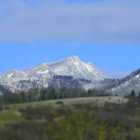 Kristina Ivachnova 49 *